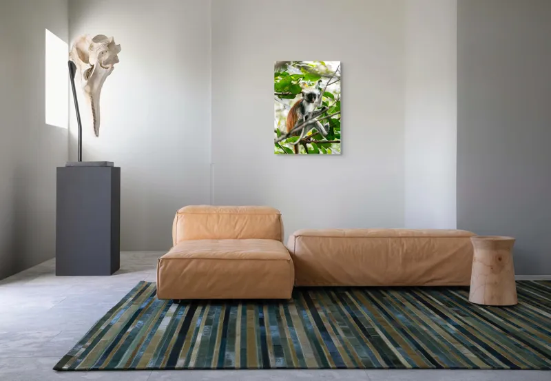 Tablou Canvas, "Maimuța roșie printre frunze verzi", Maimuță, Frunziș, Copac, Blană, Creangă, Privire, Natură, 50 x 70 cm – poza 7