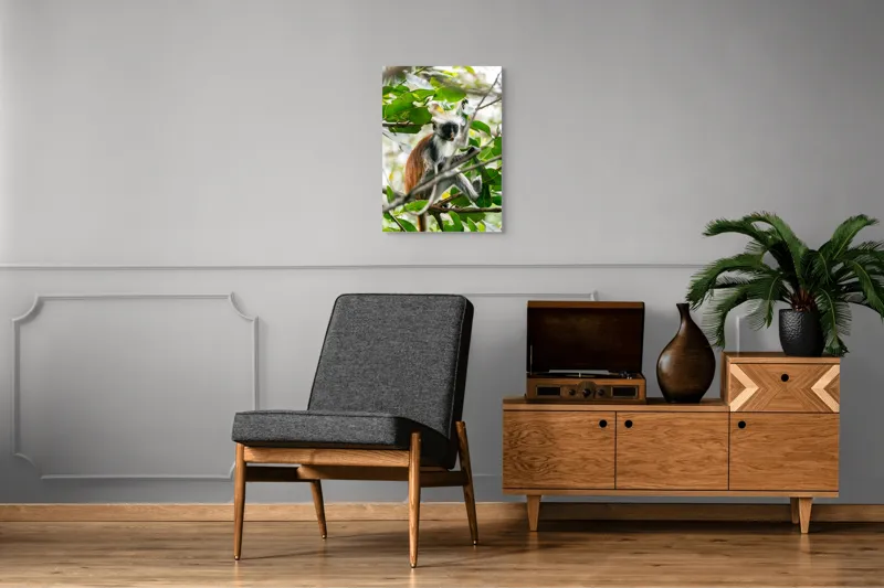 Tablou Canvas, "Maimuța roșie printre frunze verzi", Maimuță, Frunziș, Copac, Blană, Creangă, Privire, Natură, 50 x 70 cm – poza 8