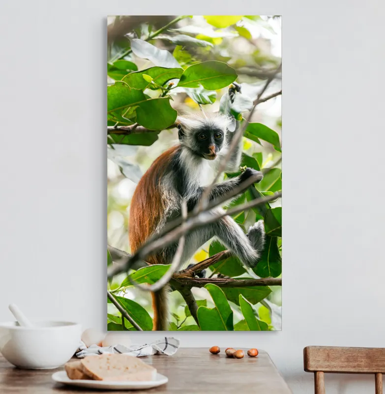 Tablou Canvas, "Maimuța roșie printre frunze verzi", Maimuță, Frunziș, Copac, Blană, Creangă, Privire, Natură, 50 x 90 cm – poza 3