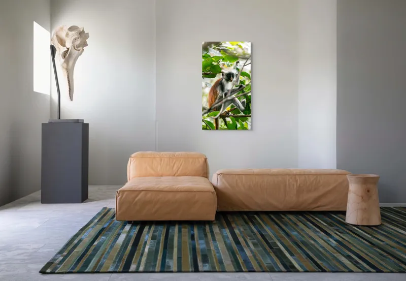 Tablou Canvas, "Maimuța roșie printre frunze verzi", Maimuță, Frunziș, Copac, Blană, Creangă, Privire, Natură, 50 x 90 cm – poza 5