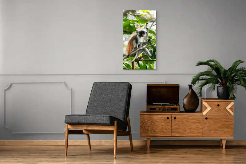 Tablou Canvas, "Maimuța roșie printre frunze verzi", Maimuță, Frunziș, Copac, Blană, Creangă, Privire, Natură, 50 x 90 cm – poza 8