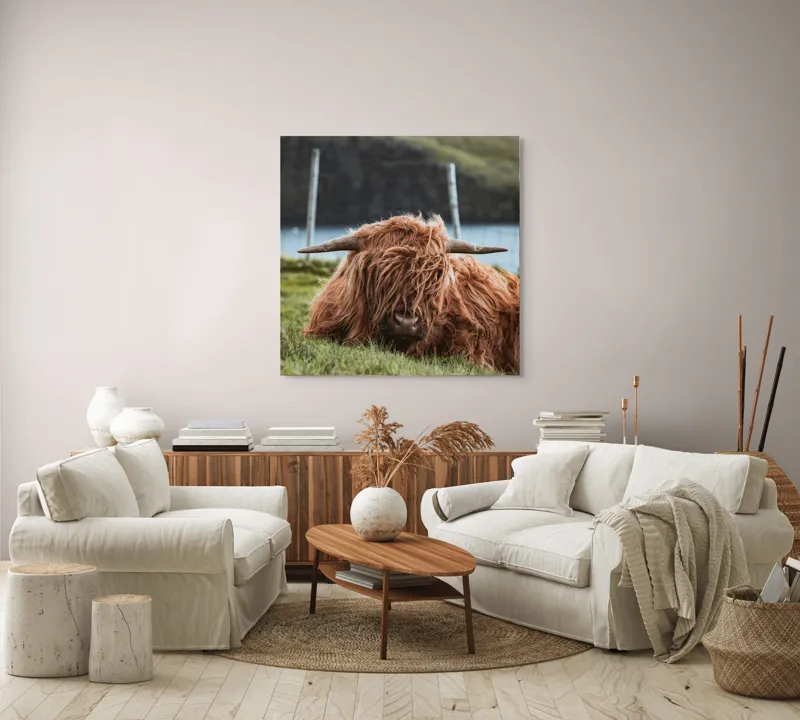 Tablou Canvas, "Vaca Highlander odihnindu-se pe câmpie", 100 x 100 cm – poza 3