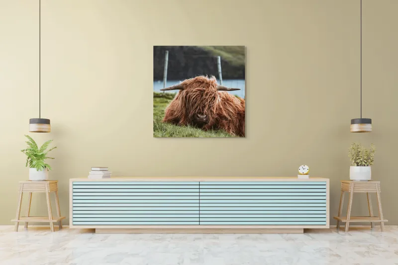 Tablou Canvas, "Vaca Highlander odihnindu-se pe câmpie", 100 x 100 cm – poza 5
