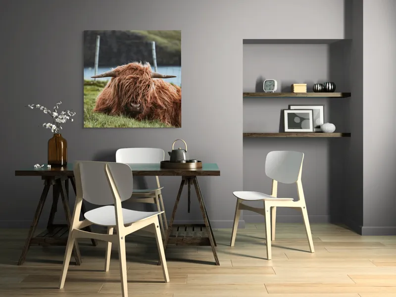 Tablou Canvas, "Vaca Highlander odihnindu-se pe câmpie", 100 x 100 cm – poza 6