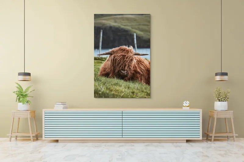 Tablou Canvas, "Vaca Highlander odihnindu-se pe câmpie", 100 x 150 cm – poza 4