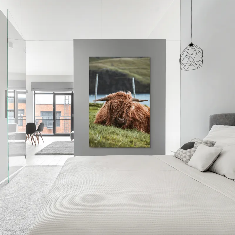 Tablou Canvas, "Vaca Highlander odihnindu-se pe câmpie", 100 x 150 cm – poza 5