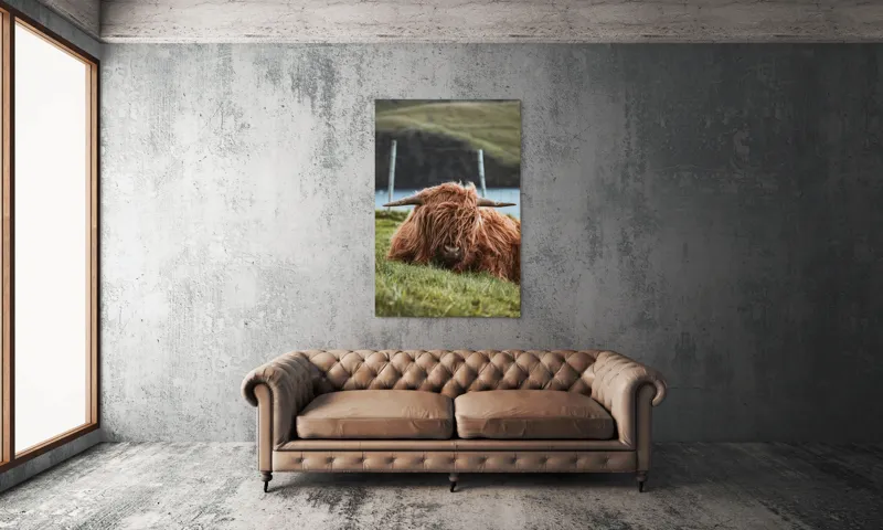 Tablou Canvas, "Vaca Highlander odihnindu-se pe câmpie", 100 x 150 cm – poza 6