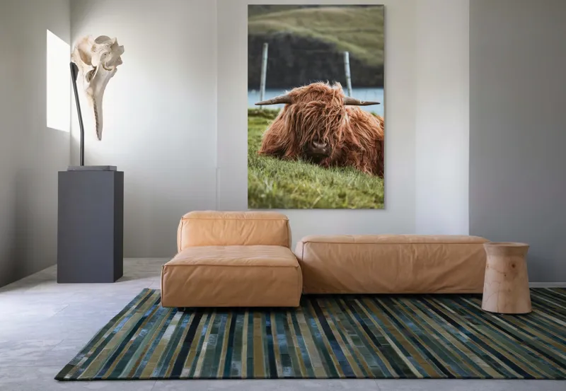 Tablou Canvas, "Vaca Highlander odihnindu-se pe câmpie", 100 x 150 cm – poza 7