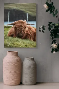 Tablou Canvas, "Vaca Highlander odihnindu-se pe câmpie", 39 x 54 cm – poza 6