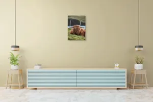 Tablou Canvas, "Vaca Highlander odihnindu-se pe câmpie", 50 x 70 cm – poza 6