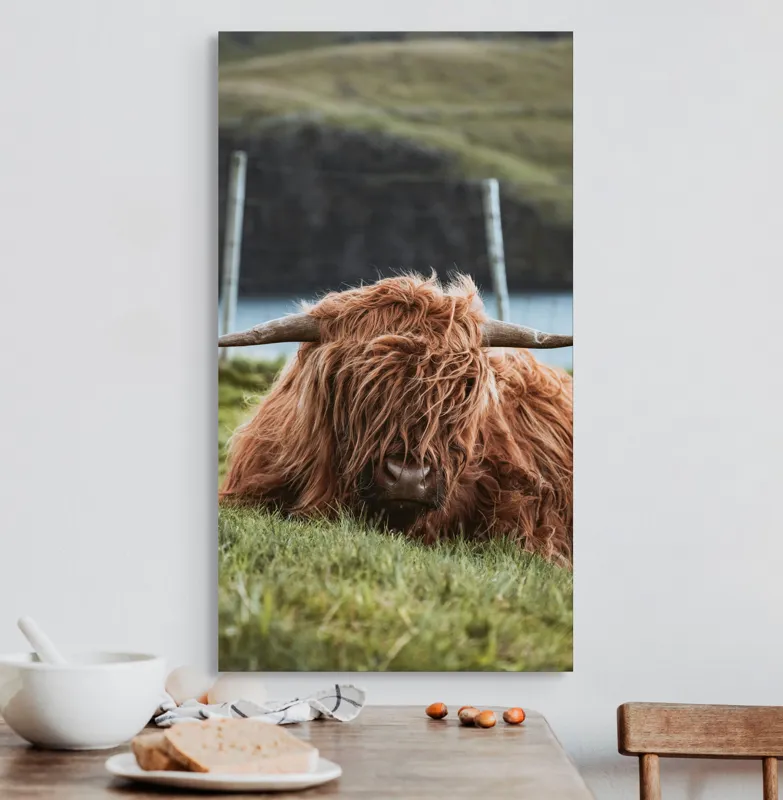 Tablou Canvas, "Vaca Highlander odihnindu-se pe câmpie", 50 x 90 cm – poza 3