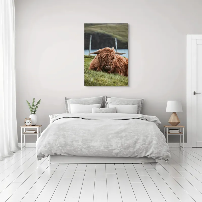 Tablou Canvas, "Vaca Highlander odihnindu-se pe câmpie", 70 x 100 cm – poza 3