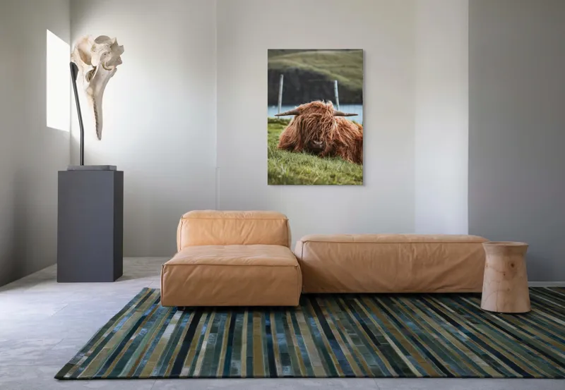 Tablou Canvas, "Vaca Highlander odihnindu-se pe câmpie", 70 x 100 cm – poza 7