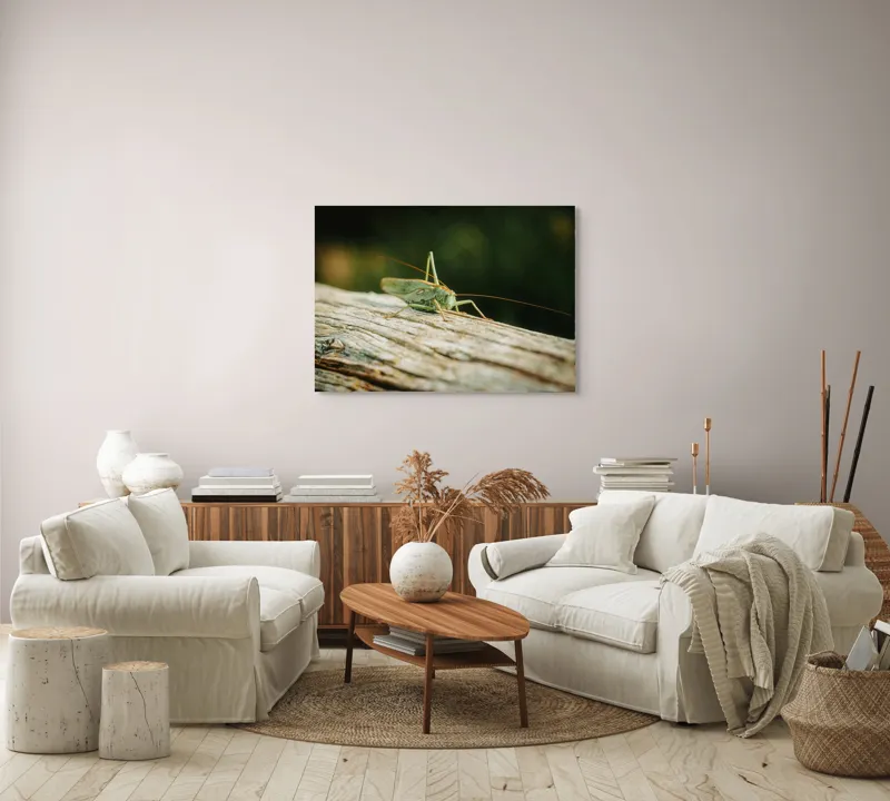 Tablou Canvas, "Greier pe o ramură uscată", Saltaret, Verde, Fragil, Textura, Natură, Antene, Lumină, Lemn, Microcosmos, 100 x 70 cm – poza 3