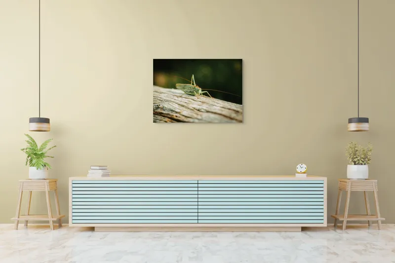 Tablou Canvas, "Greier pe o ramură uscată", Saltaret, Verde, Fragil, Textura, Natură, Antene, Lumină, Lemn, Microcosmos, 100 x 70 cm – poza 4