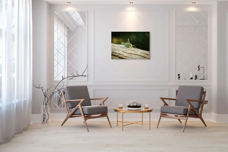 Tablou Canvas, "Greier pe o ramură uscată", Saltaret, Verde, Fragil, Textura, Natură, Antene, Lumină, Lemn, Microcosmos, 100 x 70 cm – poza 5