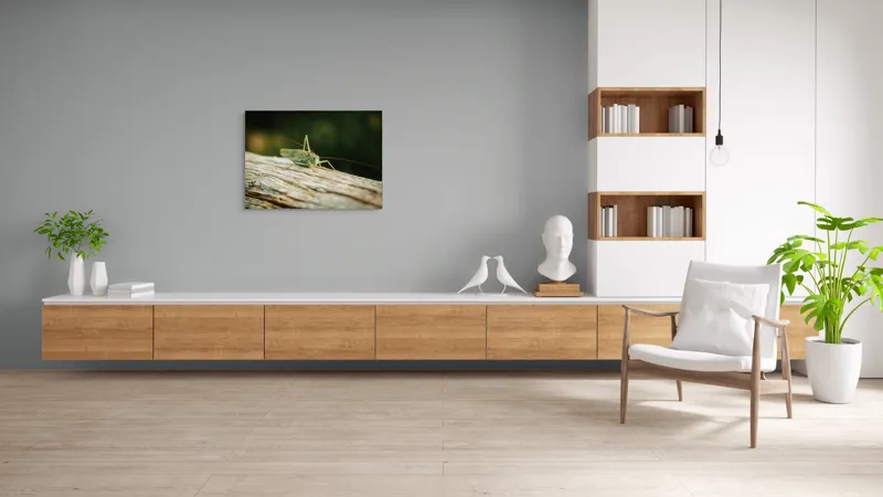 Tablou Canvas, "Greier pe o ramură uscată", Saltaret, Verde, Fragil, Textura, Natură, Antene, Lumină, Lemn, Microcosmos, 100 x 70 cm – poza 6