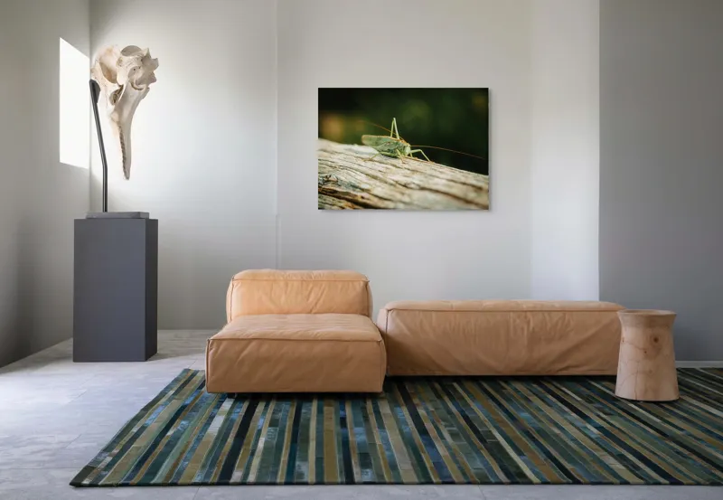 Tablou Canvas, "Greier pe o ramură uscată", Saltaret, Verde, Fragil, Textura, Natură, Antene, Lumină, Lemn, Microcosmos, 100 x 70 cm – poza 7