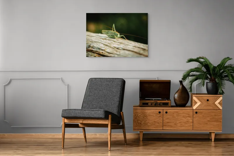 Tablou Canvas, "Greier pe o ramură uscată", Saltaret, Verde, Fragil, Textura, Natură, Antene, Lumină, Lemn, Microcosmos, 100 x 70 cm – poza 8