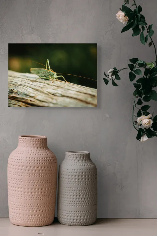 Tablou Canvas, "Greier pe o ramură uscată", Saltaret, Verde, Fragil, Textura, Natură, Antene, Lumină, Lemn, Microcosmos, 54 x 39 cm – poza 8