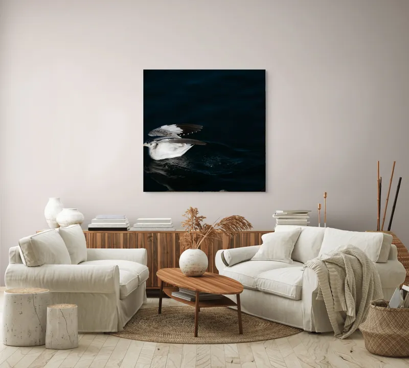 Tablou Canvas, "Dansul pescărușului pe apă albastră", Pasăre, Apă, Aripi, Umbre, Zbor, Întuneric, 100 x 100 cm – poza 3