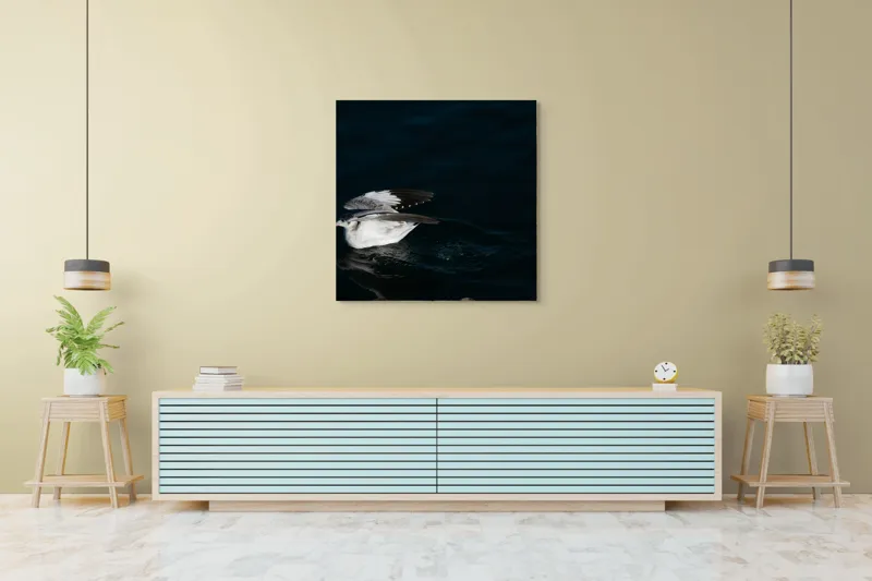 Tablou Canvas, "Dansul pescărușului pe apă albastră", Pasăre, Apă, Aripi, Umbre, Zbor, Întuneric, 100 x 100 cm – poza 5