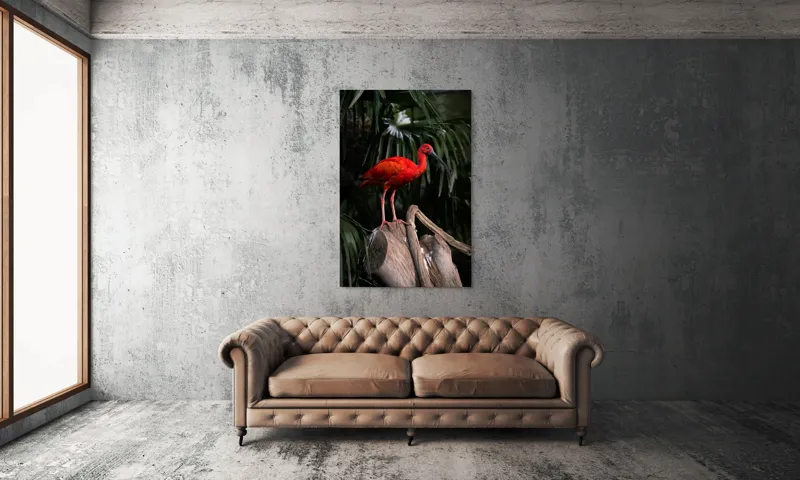 Tablou Canvas, "Pasărea scarlatină pe trunchi în pădure", Pasăre, Roșie, Penaj, Trunchi, Frunze, Curiozitate, Natură, Exotică, Frumusețe, Eleganță, 100 x 150 cm – poza 6