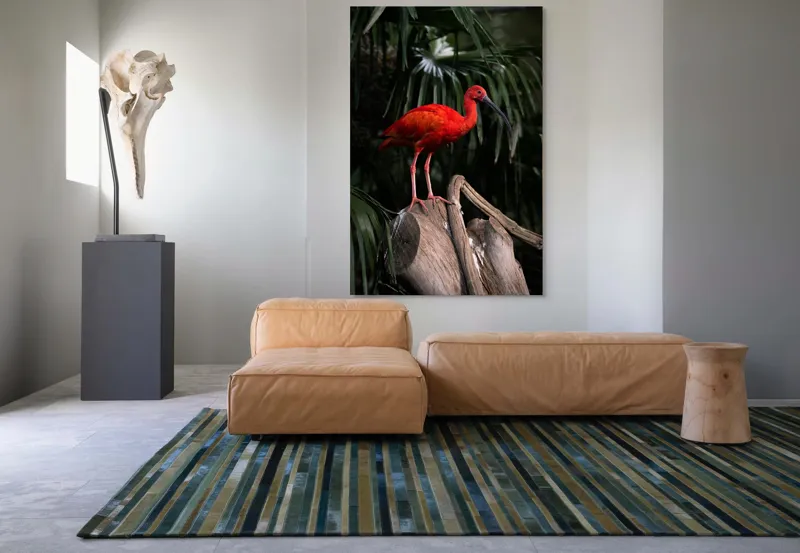 Tablou Canvas, "Pasărea scarlatină pe trunchi în pădure", Pasăre, Roșie, Penaj, Trunchi, Frunze, Curiozitate, Natură, Exotică, Frumusețe, Eleganță, 100 x 150 cm – poza 7