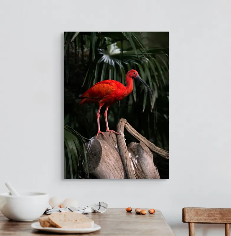 Tablou Canvas, "Pasărea scarlatină pe trunchi în pădure", Pasăre, Roșie, Penaj, Trunchi, Frunze, Curiozitate, Natură, Exotică, Frumusețe, Eleganță, 50 x 70 cm – poza 3