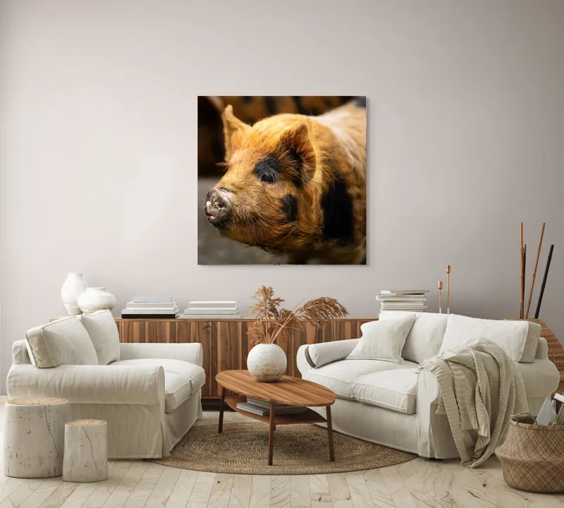 Tablou Canvas, "Porci purceluși în lumina dimineții", 100 x 100 cm – poza 3
