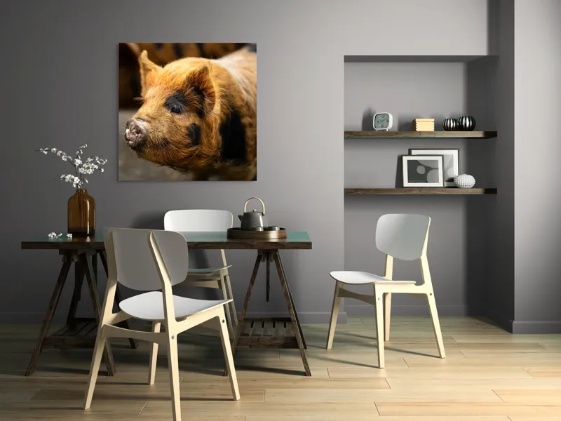 Tablou Canvas, "Porci purceluși în lumina dimineții", 100 x 100 cm – poza 6