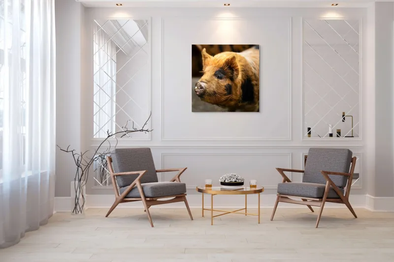 Tablou Canvas, "Porci purceluși în lumina dimineții", 100 x 100 cm – poza 7