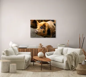 Tablou Canvas, "Porci purceluși în lumina dimineții", 100 x 70 cm – poza 3