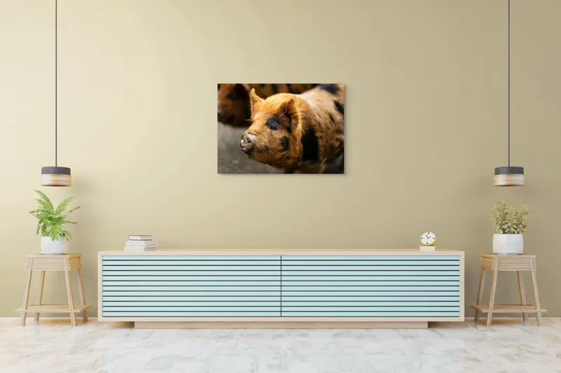 Tablou Canvas, "Porci purceluși în lumina dimineții", 100 x 70 cm – poza 4