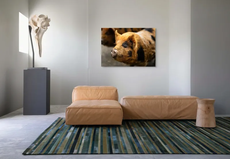 Tablou Canvas, "Porci purceluși în lumina dimineții", 100 x 70 cm – poza 7