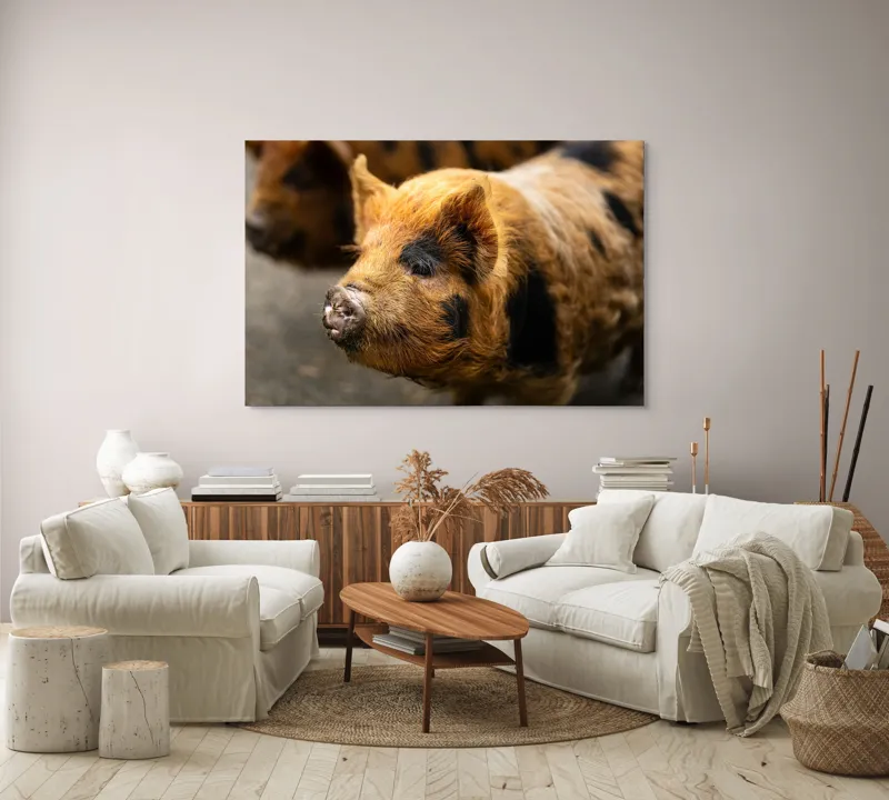 Tablou Canvas, "Porci purceluși în lumina dimineții", 150 x 100 cm – poza 3