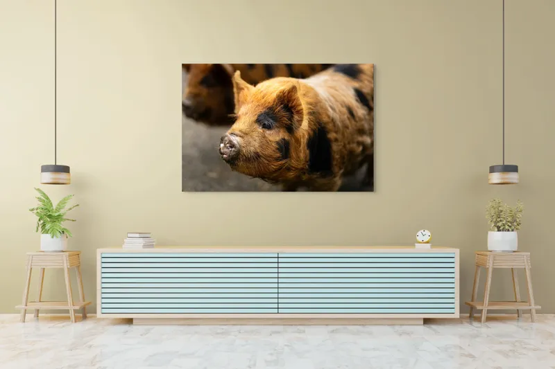 Tablou Canvas, "Porci purceluși în lumina dimineții", 150 x 100 cm – poza 6