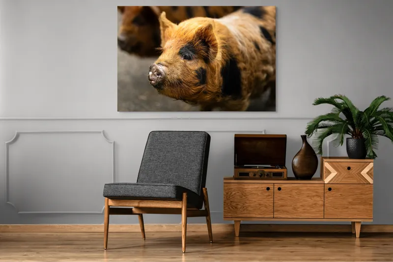 Tablou Canvas, "Porci purceluși în lumina dimineții", 150 x 100 cm – poza 8