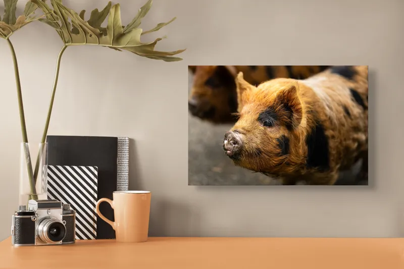 Tablou Canvas, "Porci purceluși în lumina dimineții", 39 x 26 cm – poza 3