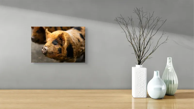 Tablou Canvas, "Porci purceluși în lumina dimineții", 39 x 26 cm – poza 8