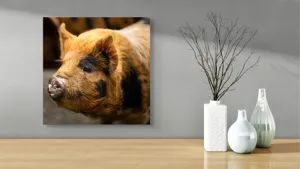 Tablou Canvas, "Porci purceluși în lumina dimineții", 50 x 50 cm – poza 3