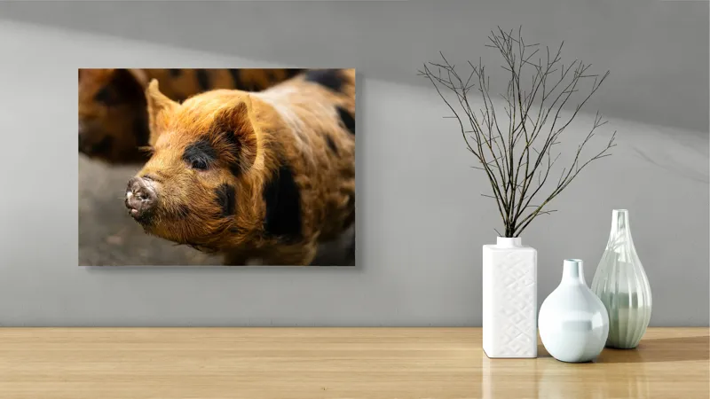 Tablou Canvas, "Porci purceluși în lumina dimineții", 54 x 39 cm – poza 3