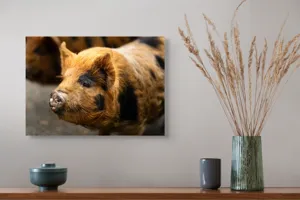 Tablou Canvas, "Porci purceluși în lumina dimineții", 54 x 39 cm – poza 4