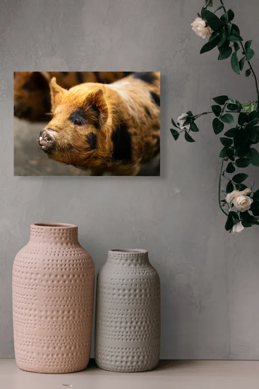 Tablou Canvas, "Porci purceluși în lumina dimineții", 54 x 39 cm – poza 8