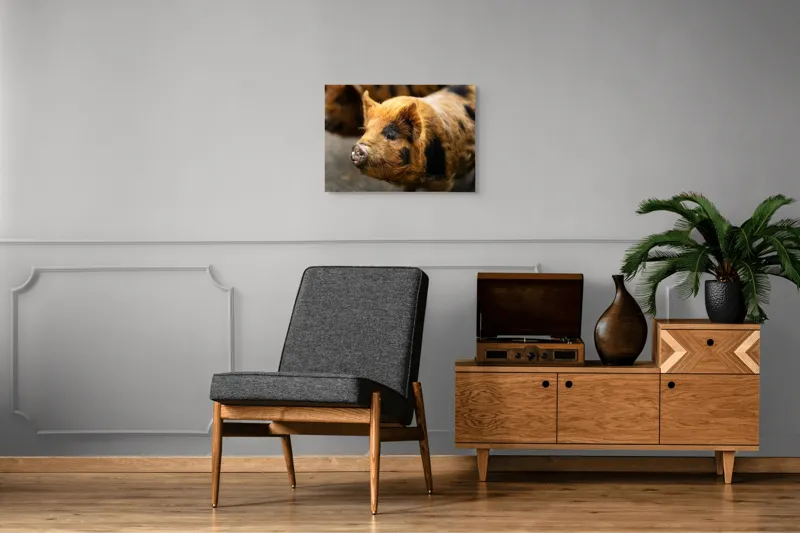 Tablou Canvas, "Porci purceluși în lumina dimineții", 70 x 50 cm – poza 4