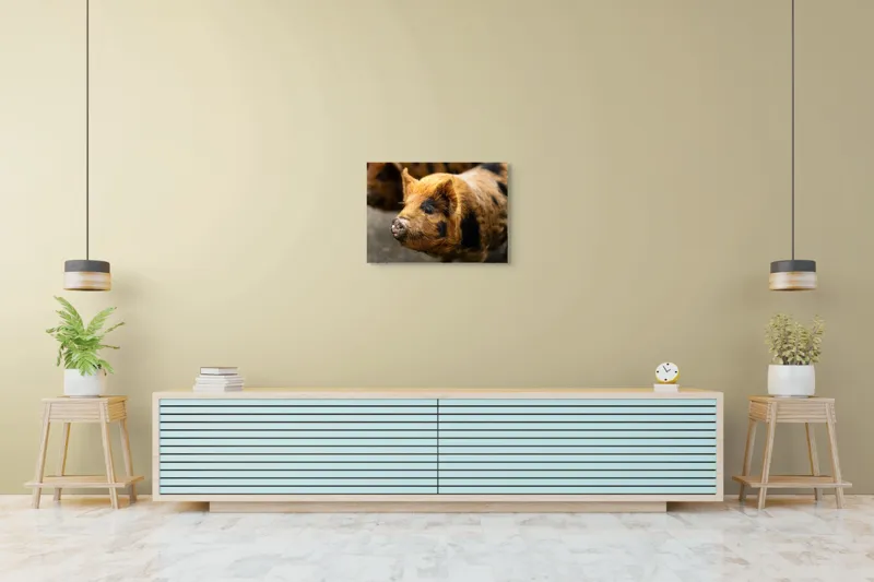 Tablou Canvas, "Porci purceluși în lumina dimineții", 70 x 50 cm – poza 7