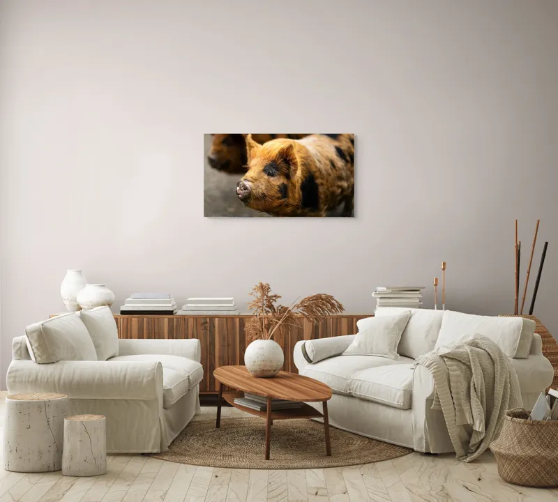 Tablou Canvas, "Porci purceluși în lumina dimineții", 90 x 50 cm – poza 4