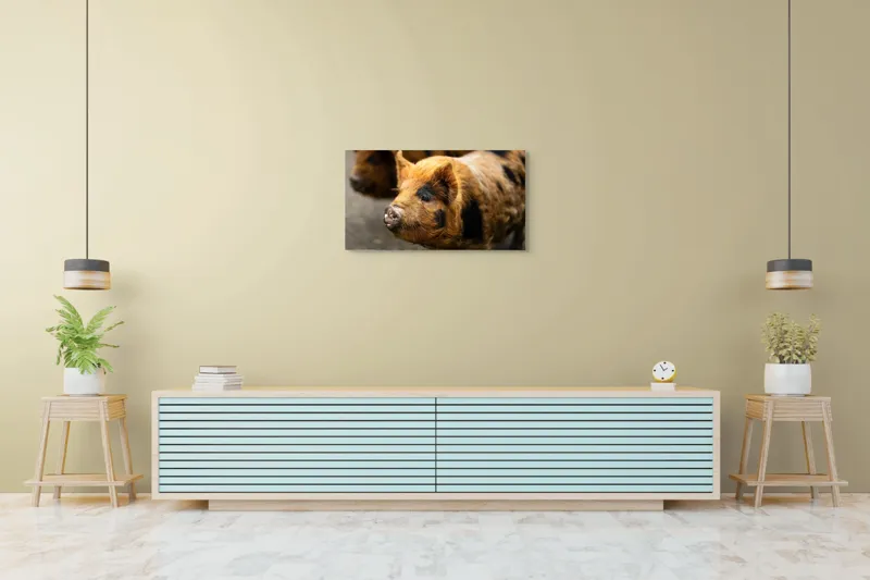 Tablou Canvas, "Porci purceluși în lumina dimineții", 90 x 50 cm – poza 5