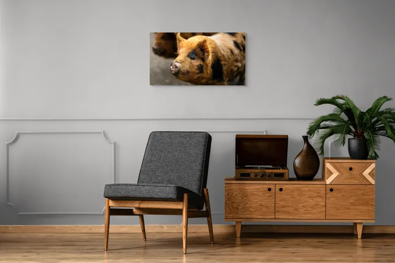 Tablou Canvas, "Porci purceluși în lumina dimineții", 90 x 50 cm – poza 6