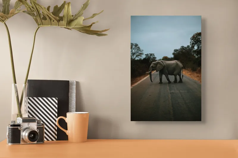 Tablou Canvas, "Oprirea elefantului pe drum pustiu", Elefant, Drum, Copaci, Cer, Natura, Liniste, Aventura, Salbaticie, 26 x 39 cm – poza 3